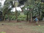 Land for Sale in Boralugoda.