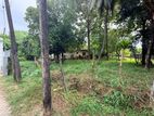 Land For Sale In Borelasgamuwa - CL823