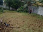 Land for Sale in Borella