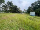 Land for Sale in Borella
