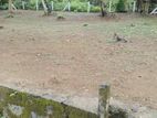 Land for Sale in Borugoda