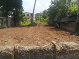 land for Sale in Borupana