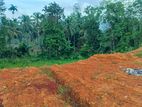 Land for Sale in Bulathsinhala