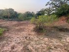 Land for Sale in Bundala, Hambantota