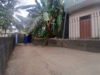Land for Sale in Buthgamuwa