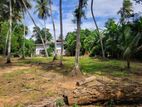 Land for sale in Buttala
