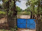 Land for Sale in Chankanai