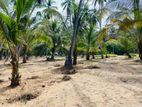 Land for Sale in Chilaw