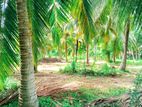 Land For Sale in Chilaw