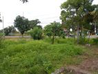 Land for Sale in Chilaw