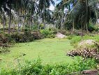 Land for Sale in Chilaw