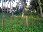 Land For Sale in Chilaw