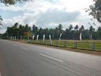 Land for Sale in Chilaw