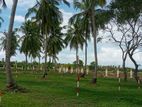 Land for Sale in Chilaw