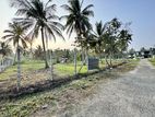 Land for Sale in Chilaw