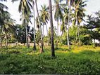 Land for Sale in Chilaw Town