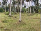 Land for Sale in China Fort, Beruwala