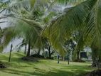 Land for Sale in Close to Godagama