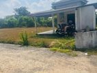 Land for Sale In Close to Homagama Berukatiya
