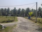 Land for sale in close to Homagama