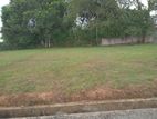 Land for Sale in Close to Homagama Thalagala