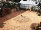 Land for Sale in Colombo 04