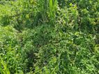 Land for Sale in Colombo-04