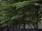 Land for sale in Colombo 04