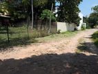 Land for sale in colombo 05