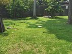 Land for Sale in Colombo 05