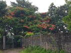 Land for Sale in Colombo 06