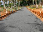 Land for Sale in Colombo 06 Road Y 33
