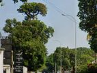 Land For Sale in Colombo 07