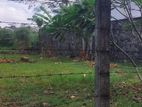 Land for Sale in Colombo 08