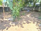 Land for Sale in Colombo 09