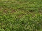 Land for sale in Colombo 15