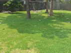 Land for sale in Colombo 5 - 3915U
