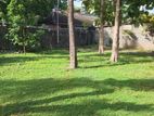 Land For Sale In Colombo 5 - CL845