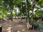 Land for Sale in Colombo 5