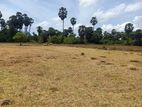 Land for sale in Colombuthurai, Jaffna