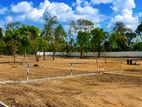 Land for Sale in - Dagonna