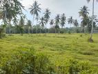 Land for Sale in Dagonna - Walpola Road.