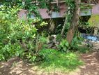 Land for sale in Daham mawatha Road maharagama