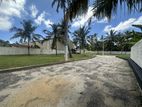 Land for Sale in Dalupotha