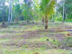 Land for Sale in Dambadeniya