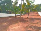 Land for Sale in Dambadeniya, Giriulla - M 04