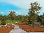 Land for Sale in Dambadeniya L08