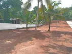 Land For Sale in Dambadeniya Town H02