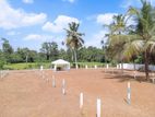 Land for Sale in Dambadeniya Y236