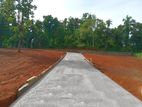 Land for Sale in Dambadeniya Y6